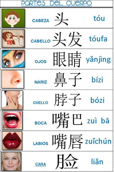 Para estudiar / para practicar ponlo en una mica transparente y repasa con plumón. #chino #partesdelcuerpoenchino #vocabulariochino How To Learn Chinese, Mandarin Pinyin, Chinese Alphabet, Bahasa China, Mandarin Lessons, Chinese Language Words, Mandarin Language, Chinese Phrases, Mandarin Chinese Learning