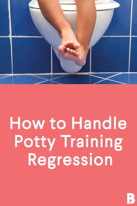 Regressing Potty Training, Potty Training Regression, Boys Potty, Toddler Potty, Potty Chart, Potty Training Boys, Toddler Potty Training, Toddler Ideas, Old Bathroom