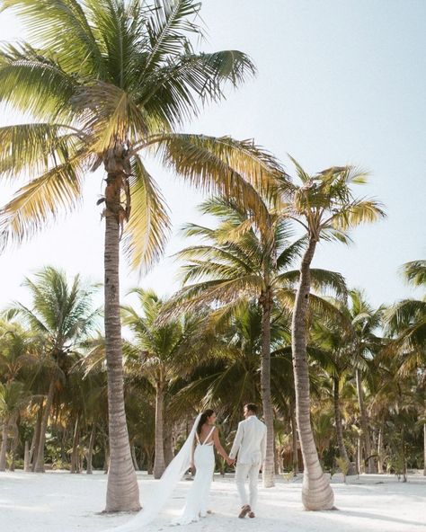 Beach Pictures Wedding, Resort Wedding Photography, Tropical Wedding Pictures, Destination Wedding Pictures, Mexico Wedding Photos, Tropical Wedding Photos, Beach Wedding Portraits, Rarotonga Wedding, Resort Wedding Ideas