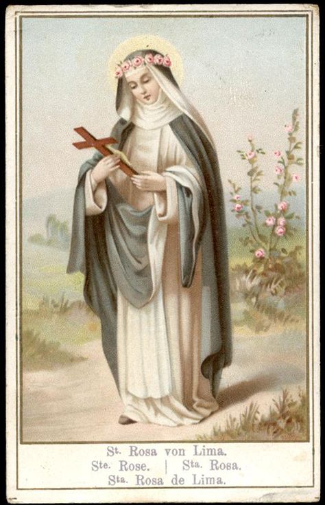 Saint Rose of Lima Santa Rosa de Lima Saint Rose Of Lima, Catholic Kids Crafts, Rose Of Lima, Chapel Veil Catholic, St Rose Of Lima, Saint Philomena, Vintage Holy Cards, Religious Pictures, Catholic Images