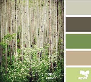 more green gray Tree Color Palette, Aspen Tree, Ebook Design, Birch Forest, Forest Color, Design Seeds, Color Palate, Nursery Inspiration, World Of Color