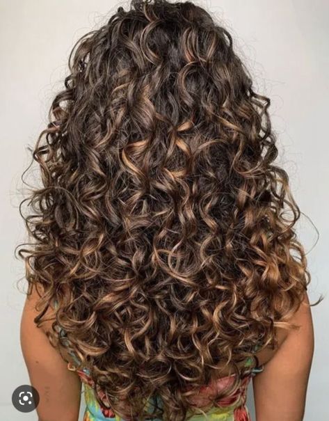 3a Curly Hair, Ponytail Curly, Long Curly Haircuts, Curly Haircut, Highlights Curly, Hair Tricks, Dyed Curly Hair, Highlights Curly Hair, Brown Curls