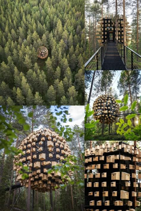 Bee Houses, Hidden House, Timber Architecture, Nut House, Cool Tree Houses, Urban Forest, Glamping Site, Landscape Elements, Unique Buildings