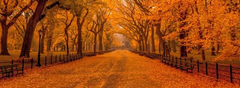 Fall Desktop Backgrounds, Autumn Wallpaper Hd, Fall Background Wallpaper, Desktop Wallpaper Fall, Backgrounds Cartoon, Picture Couple, Galaxy Aesthetic, Fall Wallpaper Aesthetic, Fall In New York