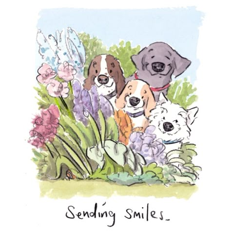 Illustrated Greeting Cards, Cute Puppy Art, Dog With Flowers, Sending Smiles, Puppy Art, Mail Post, Diy Watercolor Painting, Book Illustration Art, Sending Love