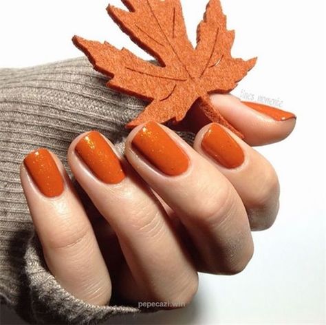 fall nail colors,best fall colors for nails,nail art design,2019 fall nails trend Ongles Beiges, New Nail Colors, Orange Nail, Thanksgiving Nail Art, Color For Nails, Nail Color Trends, Fall Gel Nails, Fall Nail Art Designs, Pumpkin Nails