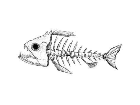 Fish Skeleton Drawing Simple, Simple Bass Fish Tattoo, Fish Skeleton Illustration, Sawfish Drawing, Goldfish Skeleton, Fish Bones Drawings, Fish Bone Drawing, Fish Skeleton Drawing, Fish Skeleton Tattoo