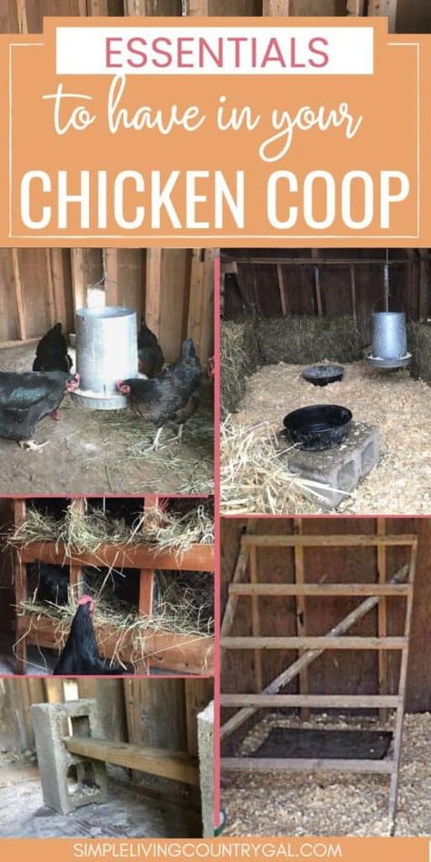 Setting Up Chicken Coop, Hay For Chicken Coop, Chicken Food In Coop, Chicken Coop Set Up Inside, Turning Shed Into Chicken Coop, Chicken Coop Essentials, Chicken Coop Accessories Diy, Chicken Scraps List, Chicken Shed Coop