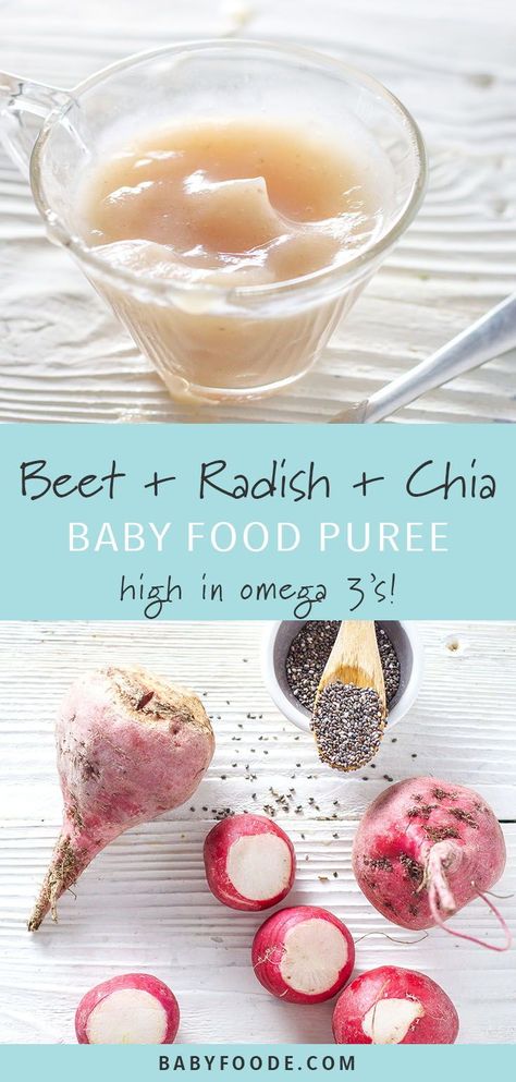 Sweet beets and spicy radishes are the perfect pair for a healthy, adventurous, and delicious homemade baby food recipe. This puree is so easy to make, packed with protein, and requires just three ingredients. #baby #6months #babyfood #healthybaby #healthykids Purees For Babies, Baby Food Puree Recipes, Chioggia Beets, Easy Homemade Baby Food, Baby Purees, 6 Month Baby Food, Baby Food Puree, Baby Food Recipe, Puree Recipes