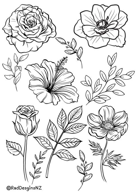 Angles Breath Flower, Thick Line Drawing, Flower Stencils Printables, Flower Outline Drawing, Drawings Of Flowers, Flower Line Drawing, Floral Drawings, Flower Stencils, Color For Kids