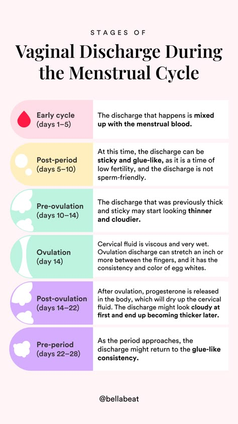 Ovulation Cycle, Ovulation Tracking, Cervical Mucus, Menstrual Health, Feminine Health, Hormone Health, Getting Pregnant, Womens Health, Fertility