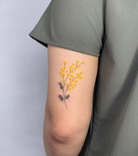 Mimosa flower Wattle Tattoo, Mandala Tattoos For Women, Mimosa Pudica, Flower Tattoo Drawings, Cute Tats, Mimosa Flower, Plant Tattoo, Tattoo Illustration, Henna Patterns