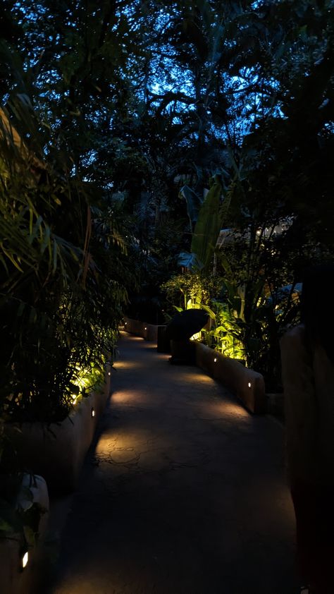 Night Garden Aesthetic, Pictures Of Outside, Cozy Night Aesthetic, Pretty Landscapes, Night Vibes, Luxury Homes Dream Houses, Night Aesthetic, Pretty Places, Fantasy Landscape