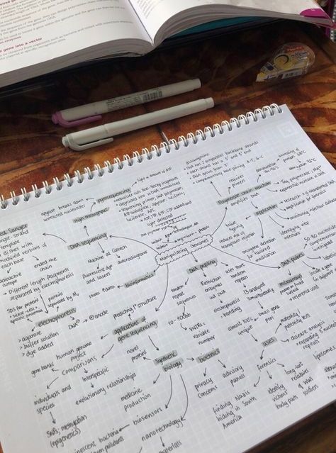 Mind Map Inspo Aesthetic, Mind Maps Aesthetic, Mind Map Aesthetic, Aesthetic Mind Map, Mind Map Notes, Nails Inspo Aesthetic, Aesthetic New Year, Study Sheets, School Organization Notes