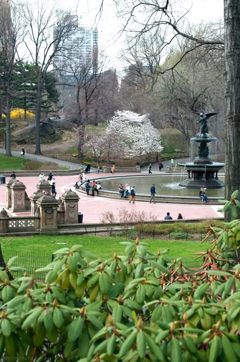 Central Park, New York City Upper West Side New York, West Side New York, Upper West Side Nyc, New York Central Park, Central Park New York City, Spring In New York, New York City Vacation, City Parks, Columbus Circle