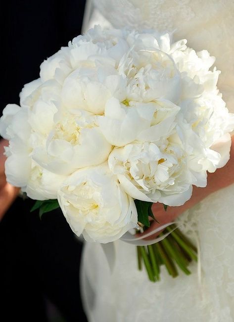 Wedding Flower Guide, Santa Fe Wedding, Bridal Bouquet Flowers, Flower Guide, White Bridal Bouquet, White Wedding Bouquets, Funny Wedding, White Wedding Flowers, Wine Wedding