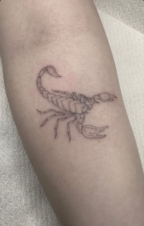 Line Tattoo Scorpio, Scorpio Fine Line Tattoo, Tattoo Scorpio, Tattoo Fine Line, Scorpio Tattoo, Scorpion Tattoo, Fine Line Tattoo, Line Tattoo, Fine Line Tattoos