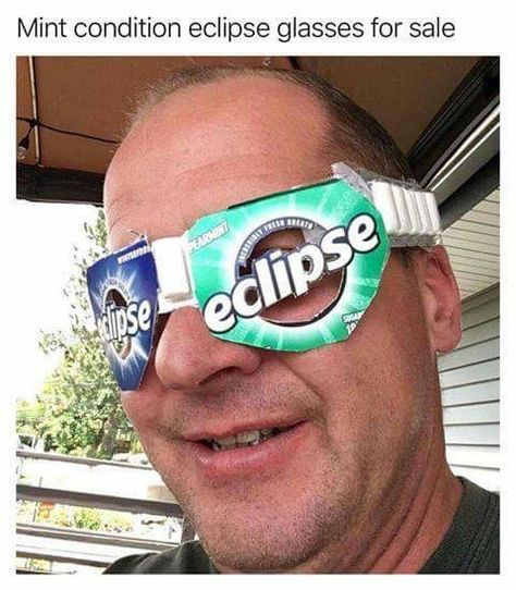 Eclipse Glasses, Epic Fails Funny, Solar Eclipse, Ipa, Bones Funny, Funny Photos, Funny Images, Really Funny, I Laughed