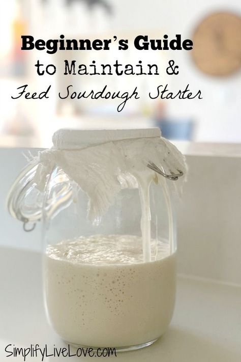 Feeding Sourdough Starter, Feeding Sourdough, Gluten Free Sourdough Starter, Recipe Using Sourdough Starter, Growing Zucchini, Making Sourdough Bread, Sourdough Bread Starter, Dough Starter, Sourdough Starter Discard Recipe