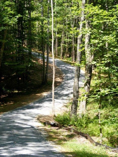 I am going to have a Long winding driveway | ... acres with a long driveway winding through the woods and streams, where you can't see my house from the road. House Entrance Landscape, Winding Driveway, Entrance Landscape, Driveway Landscape, Driveway Entrance Landscaping, Long Driveway, California Backyard, Night Landscape Photography, Driveway Ideas