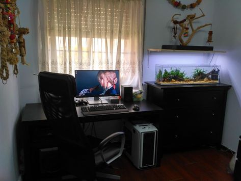 Desk With Fish Tank, Home Office Fish Tank, Fish Tank In Office, Desk Fish Tank, Room Aquarium, Aqua Scape, Pink Office, Aquarium Design, Gaming Room Setup