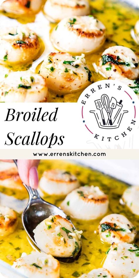 Broiled Bay Scallops, Broiled Scallops Easy, Oven Scallops Recipe, Bay Scallop Recipes Easy, Broiled Scallops Recipe, Garlic Scallops Recipe, Broiled Scallops, Bay Scallop Recipes, Shrimp And Scallop Recipes