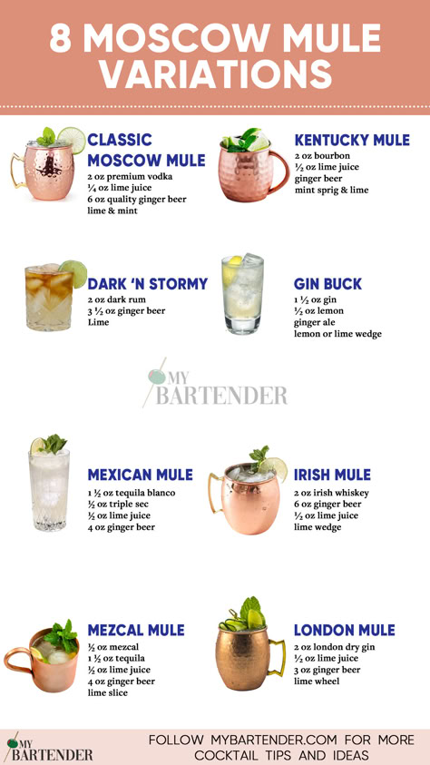 Moscow Mule Variations Types Of Mules Drinks, Moscow Mule Wedding Drink, Healthy Moscow Mule, Muscle Mule Drink, How To Make A Moscow Mule, Mule Drink Recipes Whiskey, Different Mule Drinks, Moscow Mule Flavors, Russian Mule Recipe