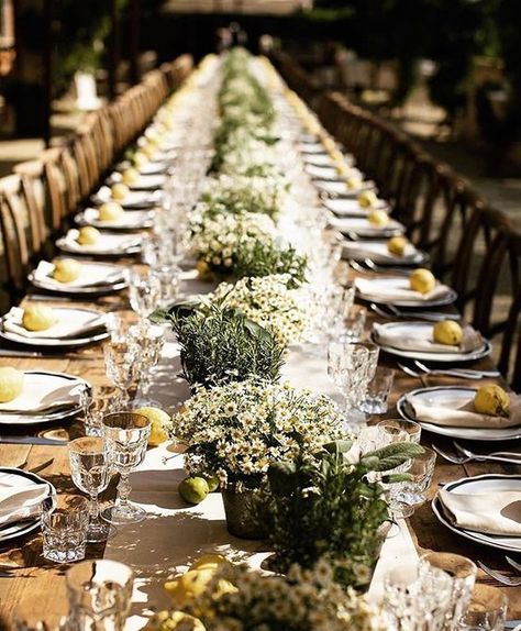 Field Flowers Wedding Decoration, Wedding Decoration Olive, Herbs Wedding, Rustic Italian Wedding, Herb Wedding, Friends Dinner, Wedding Colours, Daisy Wedding, Party Table Settings