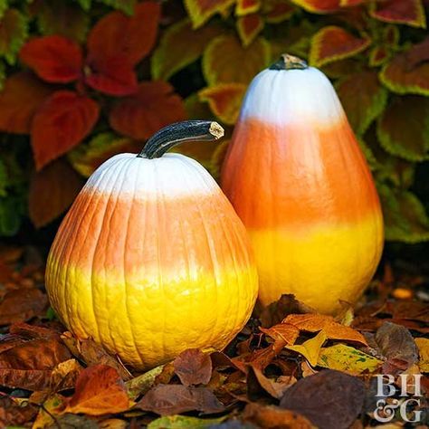 Orange Jackolantern, Corn Painting, Halloween Pumpkin Crafts, Creative Pumpkin Painting, Candy Orange, No Carve Pumpkin Decorating, Pumpkin Candy Corn, Halloween Pumpkin Designs, Halloween Pumpkins Painted