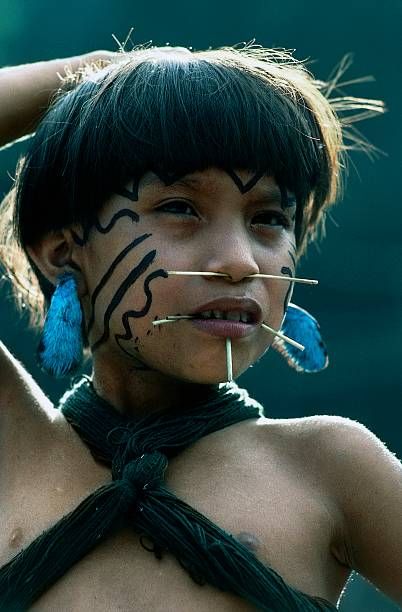 209 Native South American Ethnicity Photos and Premium High Res Pictures - Getty Images Native South American, Crown Pictures, Amazon Tribe, The Amazon Rainforest, Fall From Grace, Amazon Rainforest, People Of The World, South American, Still Image