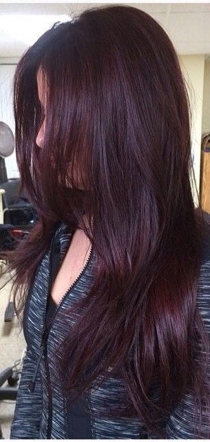 Brown purple red Pelo Color Borgoña, Pelo Color Vino, Red Hair Color Shades, Rambut Brunette, Plum Hair, Highlights Curly Hair, Wine Hair, Red Hair Inspo, Cherry Hair