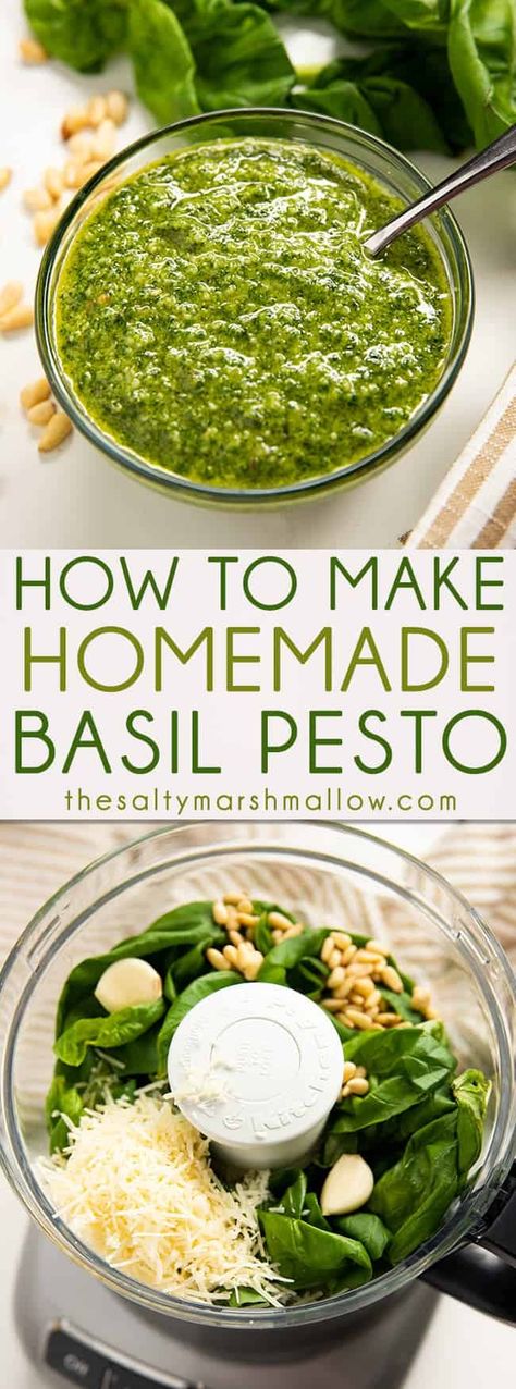 Homemade Basil Pesto, Homemade Pesto Recipe, Basil Pesto Recipes, Resep Pasta, Basil Recipes, Garlic Cheese, Homemade Pesto, Olive Oils, Pesto Recipe