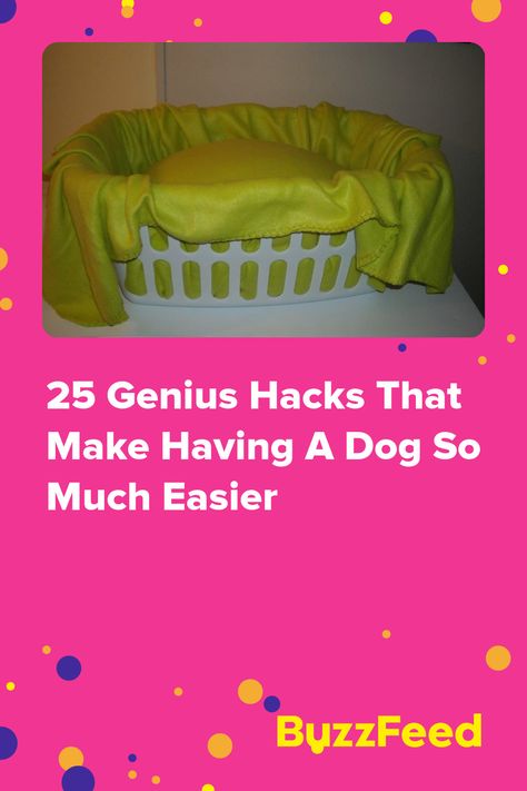 25 Genius Hacks That Make Having A Dog So Much Easier Cornstarch And Water, Dog Eats, Dog Bed Modern, Empty Water Bottle, Dishwashing Gloves, Door Protector, Dog Car Seat, Dog Car Seats, Dog Nails