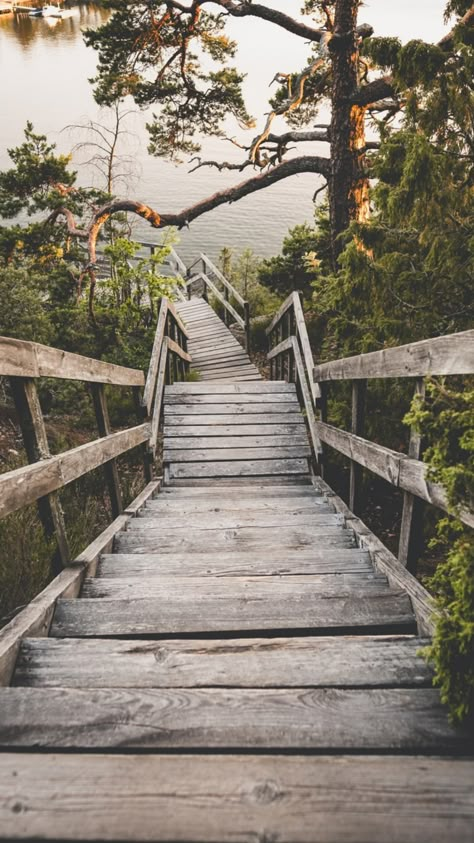 Tree Walkway, Europe In January, Where To Go In Europe, Sweden Photography, Sweden Aesthetic, Travel Sweden, Trip To Amsterdam, Visit Sweden, Outdoor Structure