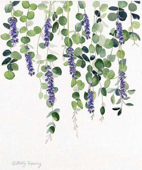 Flower Vines Painting, Flowers On Vines Painting, Hanging Plants Painting, Flower Wall Drawing, Vine Painting, Branch Painting, Learn Watercolor Painting, Architecture Portfolio Design, Learn Watercolor