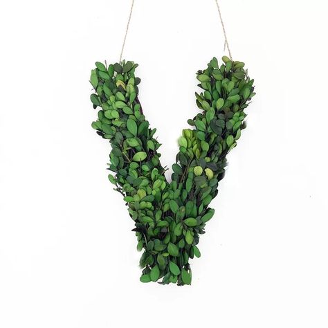 Winston Porter Meghans Faux Boxwood Letter Wreath & Reviews | Wayfair Letter Wreath, Larkspur Flower, Faux Boxwood, Preserved Boxwood, Monogram Wreath, Rustic Wreath, Leaf Wreath, Decorative Letters, Wire Frame