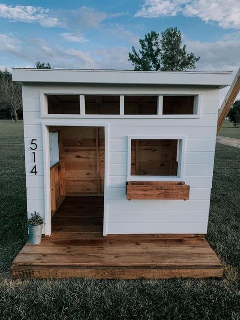 Outdoor Dog Kennel Ideas, Small House Decor, Dog Kennel Ideas, Backyard Dog Area, Kennel Ideas Outdoor, Outdoor Dog Kennel, Modern Dog Houses, Kennel Ideas, Puppy Room