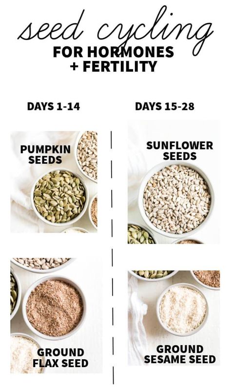 This is a comprehensive post with everything you need to know about seed cycling for hormones and fertility! Read on to learn what seeds to use, how to store them, who should seed cycle, why it works and how to incorporate it into your daily routine! Seed Cycle, Fertility Day, Affirmation Lockscreen, Seed Cycling, Foods To Balance Hormones, Fertility Foods, Baking Powder Uses, Healthy Hormones, Baking Soda Beauty Uses