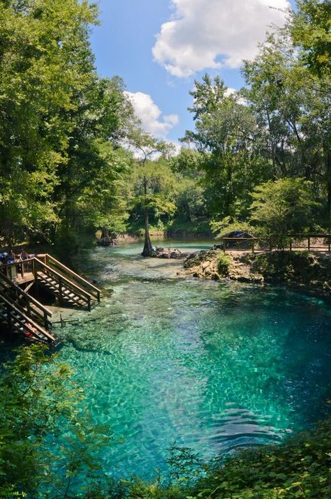 The Villages Florida, Blue Springs State Park, Friday Inspiration, Florida Getaway, Florida Camping, Florida State Parks, Florida Springs, Orange City, Lost In Thought