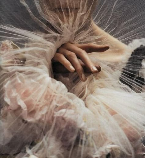 Ethereal Tulle - The Lane Erin O'connor, Fashion Fotografie, Robert Mapplethorpe, Tim Walker, Vogue Germany, Foto Art, Roaring Twenties, Oscar Wilde, Sheer Fabric