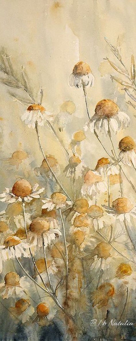 Chamomile Art Chamomile Painting, Chamomile Oil, Flower Essences, Chamomile Flowers, Art Of Living, Pet Birds, Flower Painting, Acrylic Painting, Illustration Art