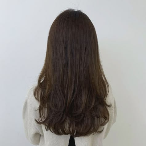 Rounded Long Hair, Middle Of Back Hair Length, Back Layers Medium Hair, 1c Haircut, Layers From The Back, Medium Length Haircut Long Layers, Soft Long Layers Long Hair, Subtle Layers Long Hair, Long Layers Medium Hair