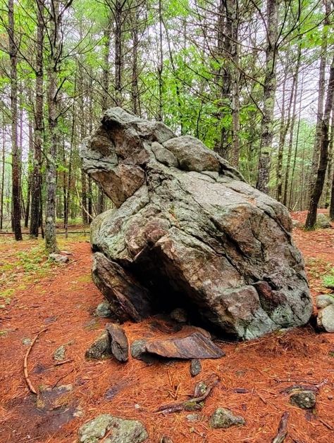 Windclan Camp, Cats Background, Frog Rock, Boulder Rock, Giant Boulder, Drawing Rocks, Environment Reference, Scenic Places, Forest Aesthetic