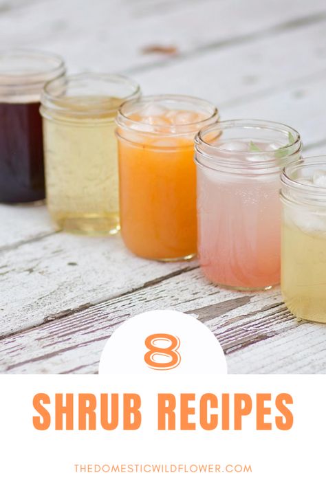 Shrub Drink, Shrub Recipe, Drinking Vinegar, Mixer Recipes, Handmade Food, Probiotic Drinks, Homemade Cocktails, Fermentation Recipes, Homemade Syrup