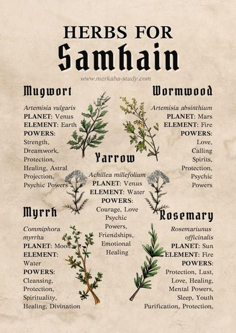 Free Grimoire Pages - Your Book of Shadows Inspiration! ⋆ Merkaba Study Samhain Grimoire Page, Samhain Herbs, Book Of Shadows Inspiration, Shadow Journal, Book Of Shadows Pdf, The Book Of Shadows, Magickal Herbs, Grimoire Pages, Witch Herbs