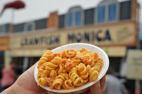 Chef Chris Wilson, director of culinary operations for Emeril's, dishes on how to make Crawfish Pasta, an iconic creamy pasta made famous at Jazz Fest. Crawfish Monica Recipe New Orleans Jazz, Crawfish Monica Recipe, Crawfish Monica, Crawfish Pasta, Pasta Cajun, Crawfish Recipes, Bbq Seafood, New Orleans Jazz, Visit New Orleans