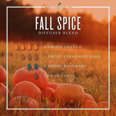 Fall Essential Oil Blends, Fall Essential Oils, Fall Diffuser Blends, Essential Oil Combinations, Doterra Essential Oils Recipes, Essential Oil Diffuser Blends Recipes, Young Living Essential Oils Recipes, Essential Oil Diffuser Recipes, Essential Oil Blends Recipes