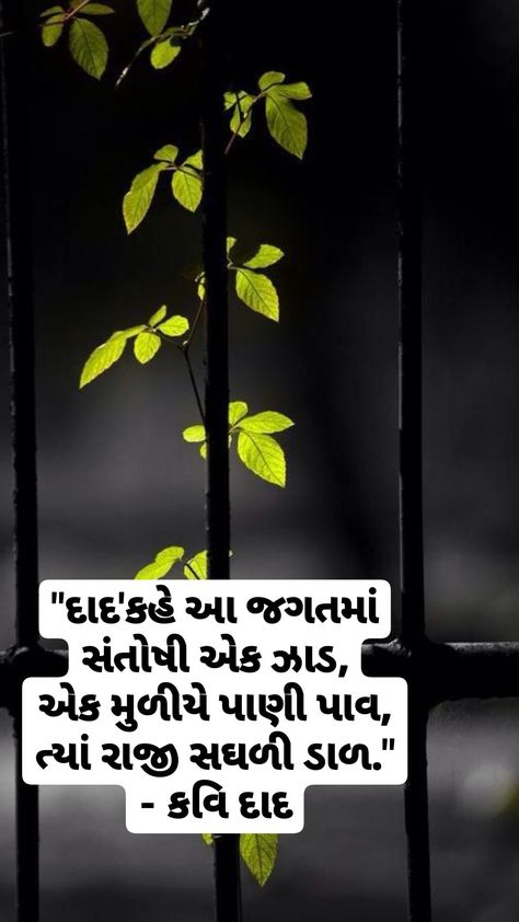 Gujarati Quotes Life Feeling, Gujarati Poetry, Gujarati Gazal, Best Motivational Thoughts, Flower Quote, School Assemblies, Epic Quotes, True Lines, Hand Lettering Quotes