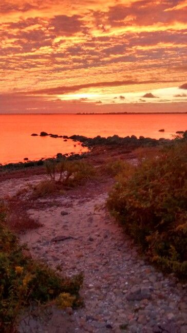 West Island, Fairhaven, MA...a surreal sunset 10/5/2015 Fairhaven Massachusetts, Bedford Massachusetts, New Bedford, Rhode Island, East Coast, Sunrise Sunset, New England, Northern Lights, Surfing