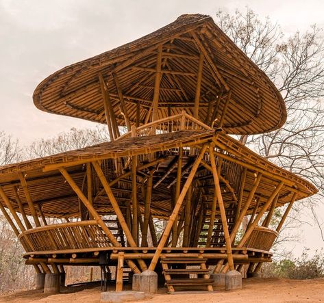 Bamboo Greenhouse Design, House Made Of Bamboo, Bamboo Architecture Design, Bamboo Stairs, Bamboo Tower, Bamboo Pavilion, Architecture Sustainable, Building Kitchen, Bamboo Roof